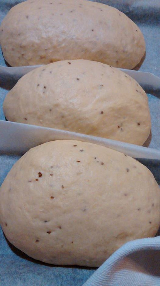 Ciammèlla de musto, la lievitazione