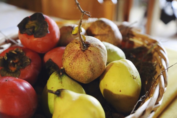 Mele cotogne e melagrana